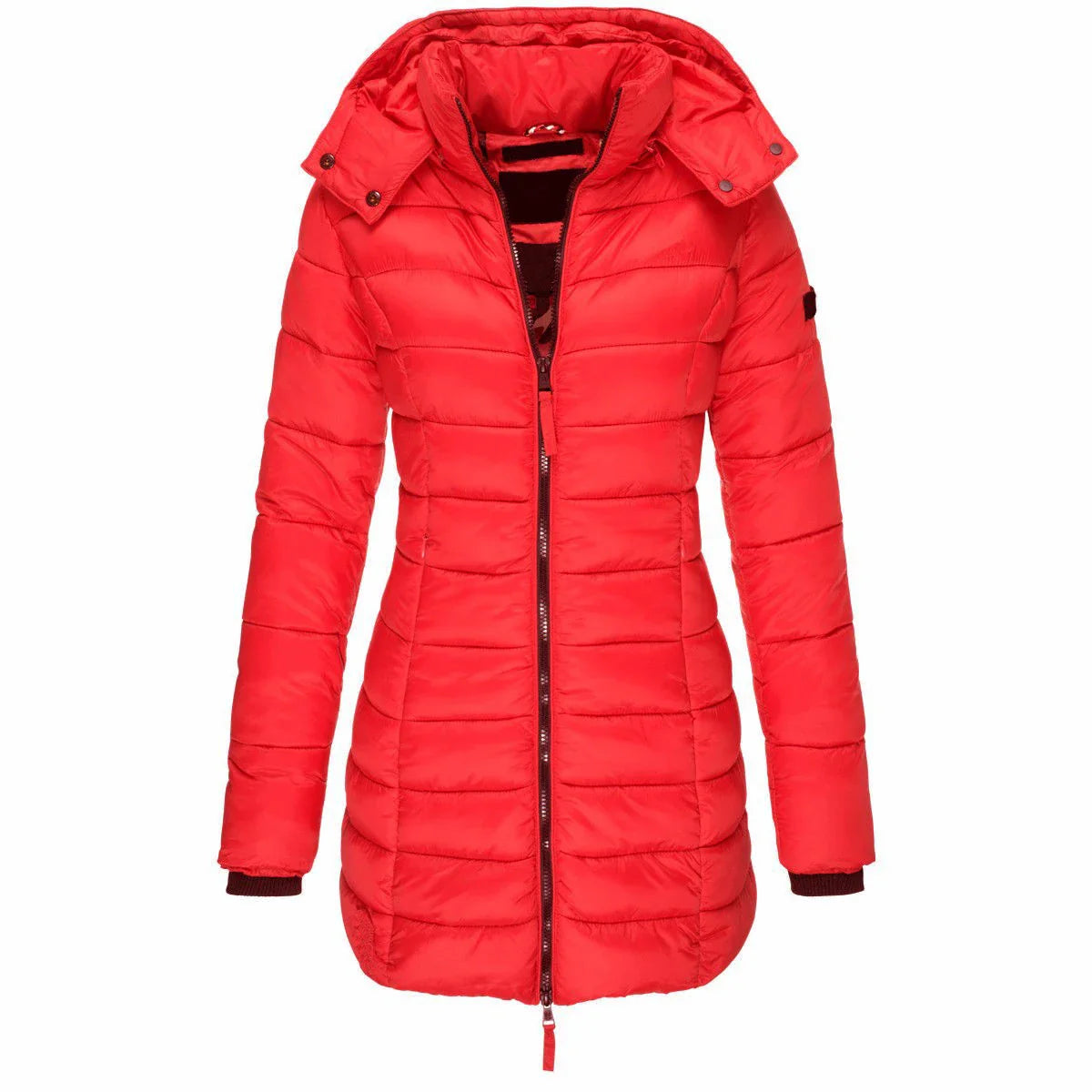 Womens Padded  Zipper Jacket | Hooded Cotton Long Sleeve Parka Coat