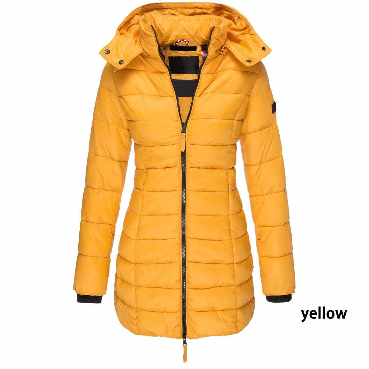 Womens Padded  Zipper Jacket | Hooded Cotton Long Sleeve Parka Coat